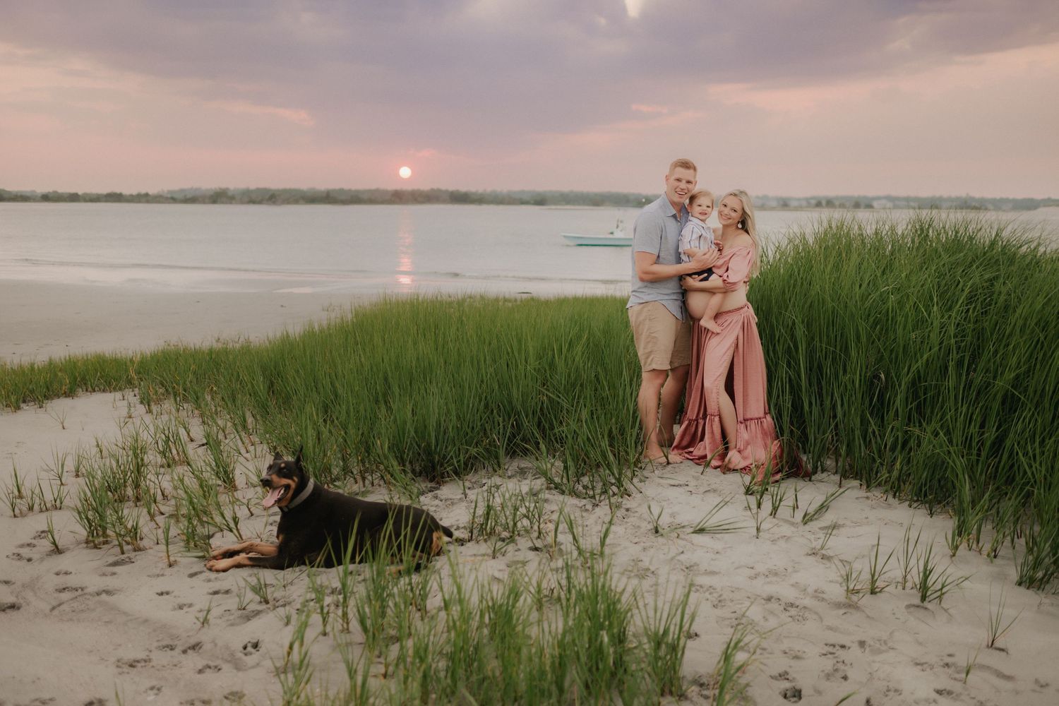 Coastal marsh landscape at sunset with green grass and soft pink sky.