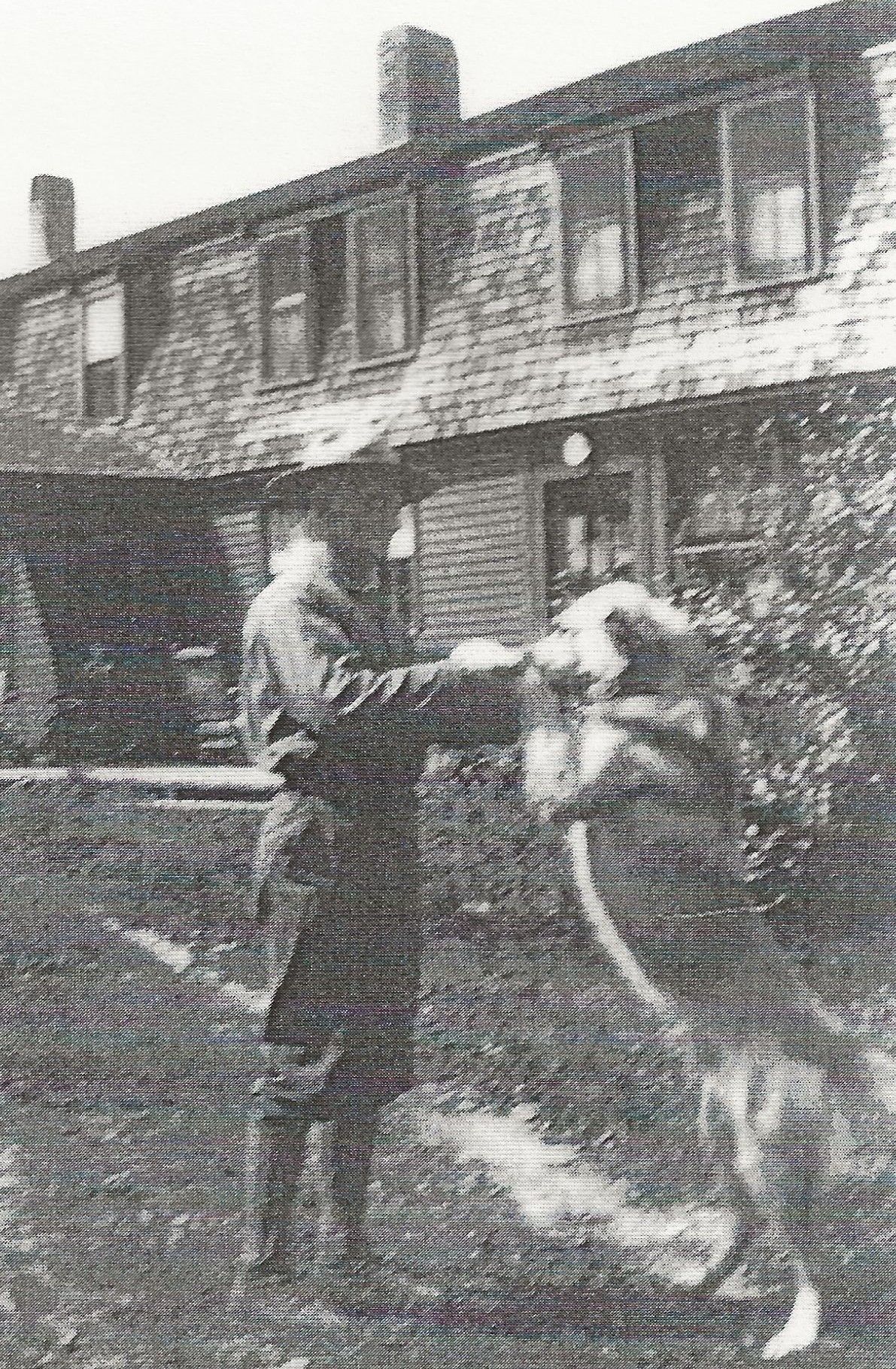 Walden with his dog Chinook in a favored pose and at home on Wonalancet Farm.