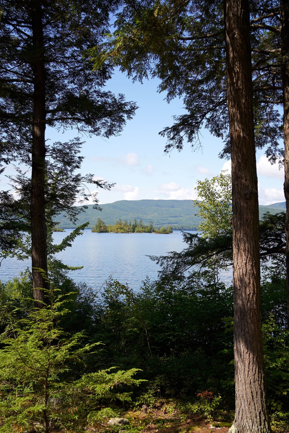 Tall evergreen trees frame a blue sky view of Squam Lake