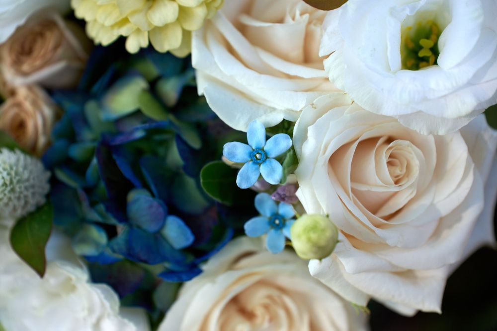 Peach roses, white lisianthus, and tiny blue five petaled flowers in bride's bouquet