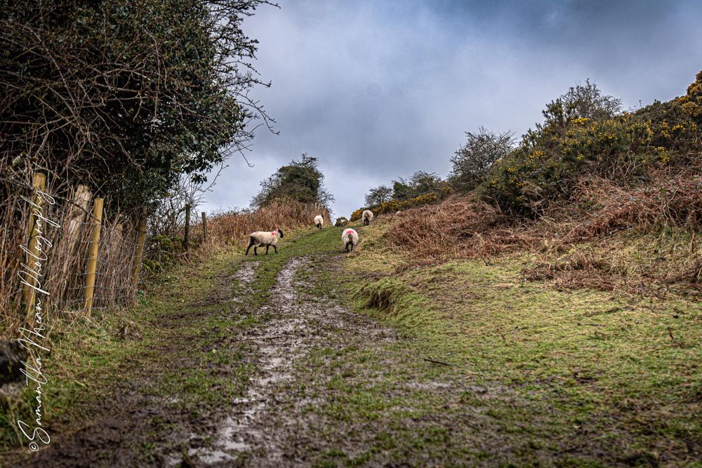 Kesh Cave Sligo