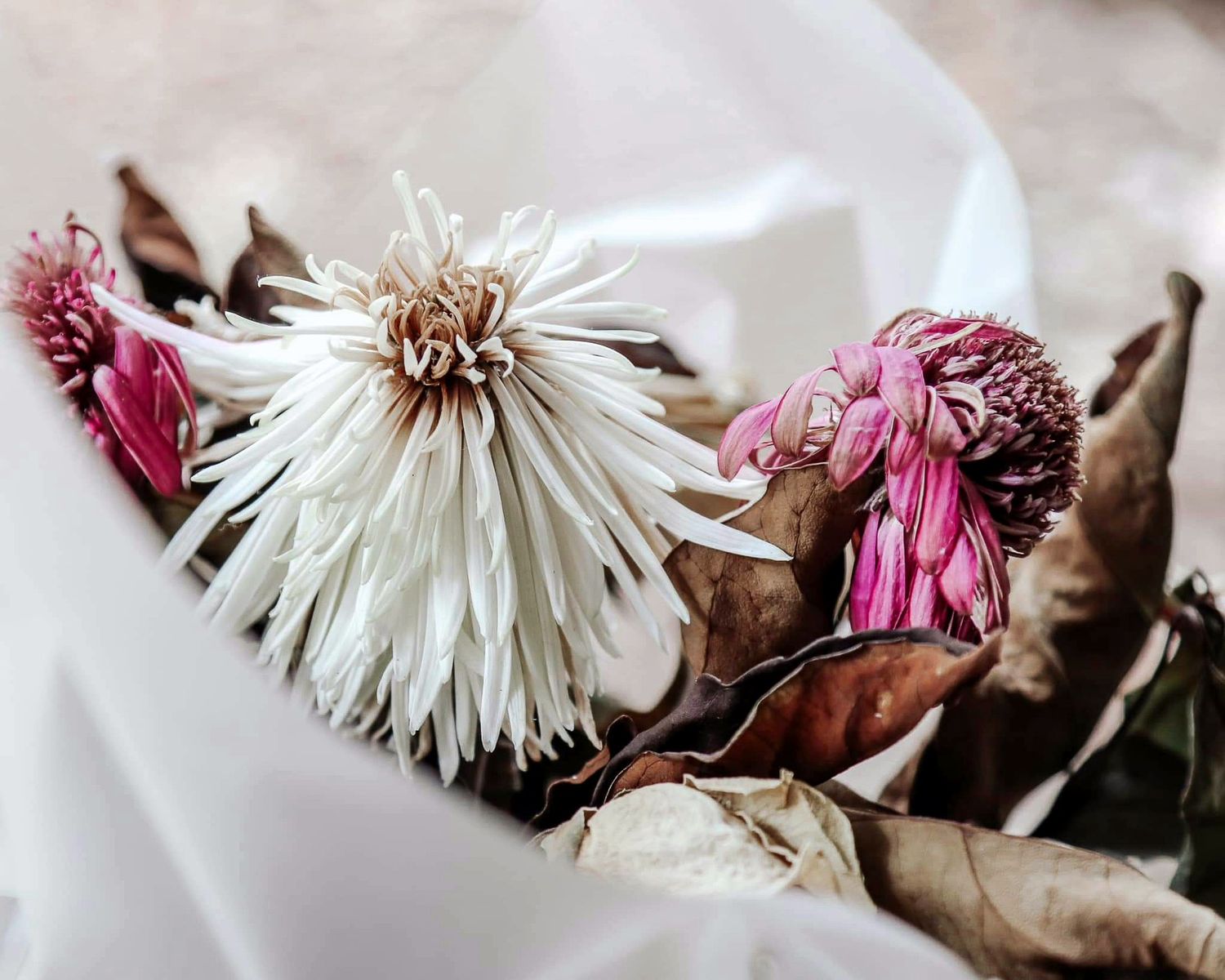 White-and-purple-wilting-flowers-and-brown-leaves-in-white-wrap