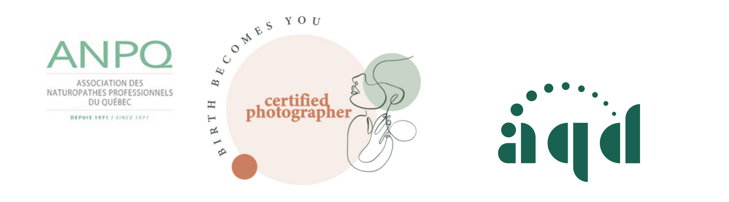 Three professional logo designs for ANPO and related brands.