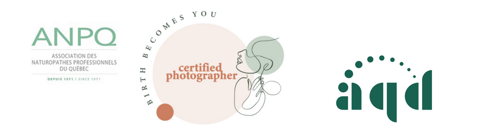 Three professional logo designs for ANPO and related brands.