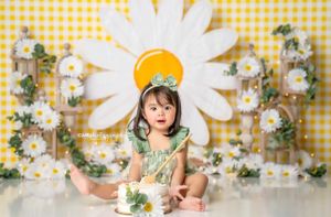 Yellow gingham backdrop with daisy flowers and spring-themed decorative elements.