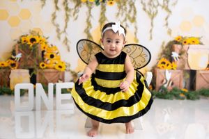 Whimsical bee-themed photo setup with yellow and black decorations and sunflowers.