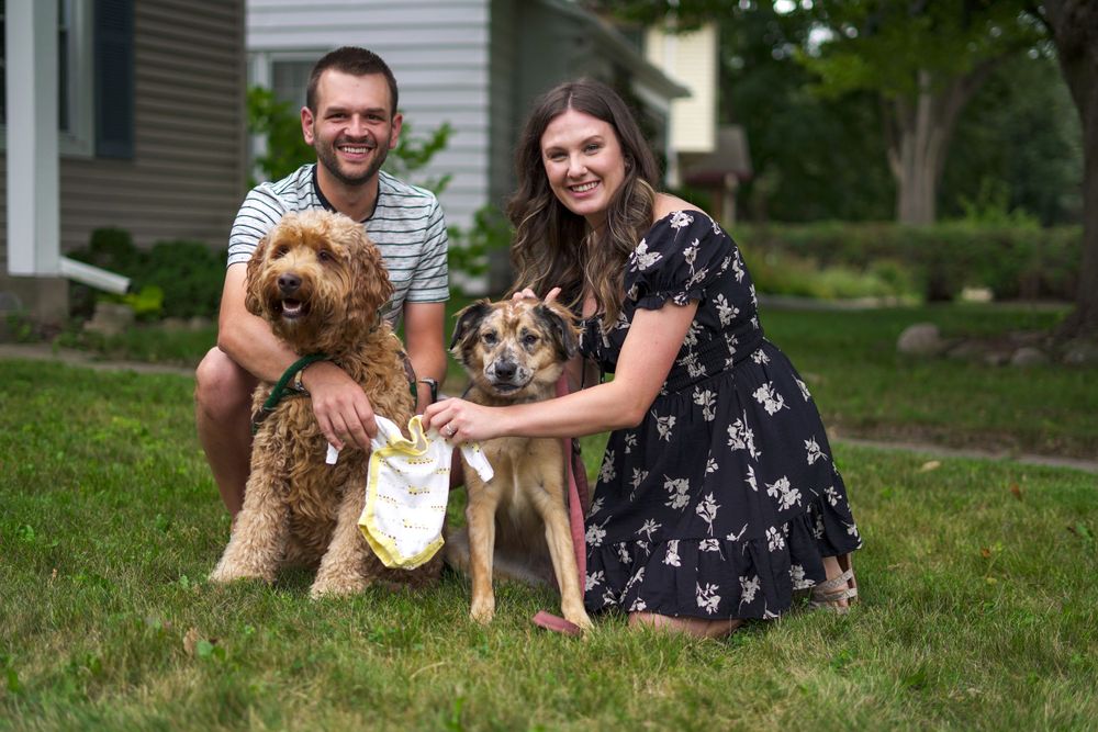 Maternity photos, Waukesha, Wisconsin, Portrait photography, love, family photos, pets, dogs