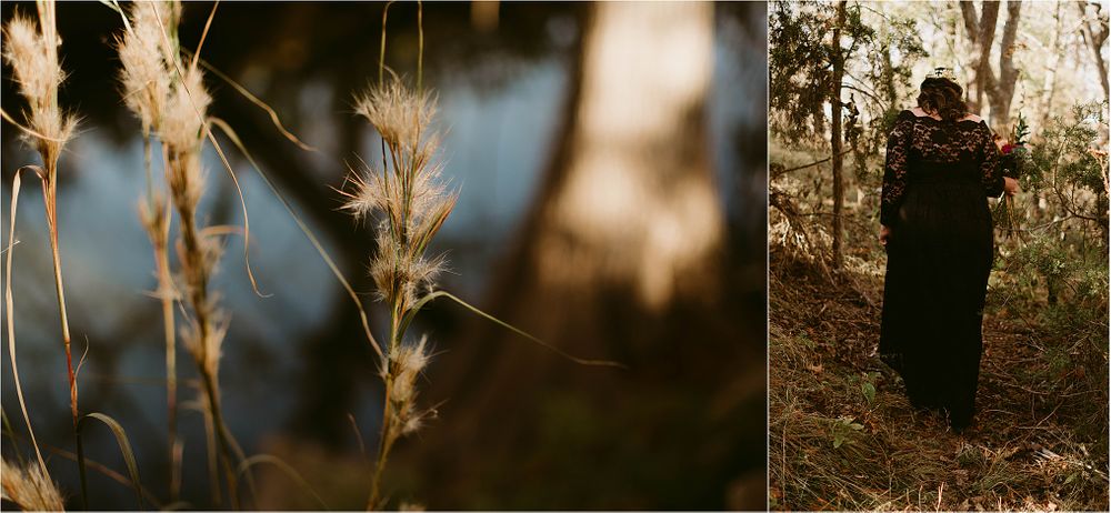 A diptych combining dried grass details with a shadowy forest figure.