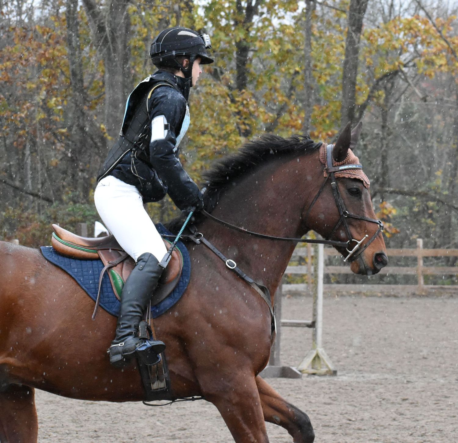 horse and rider in spitting rain