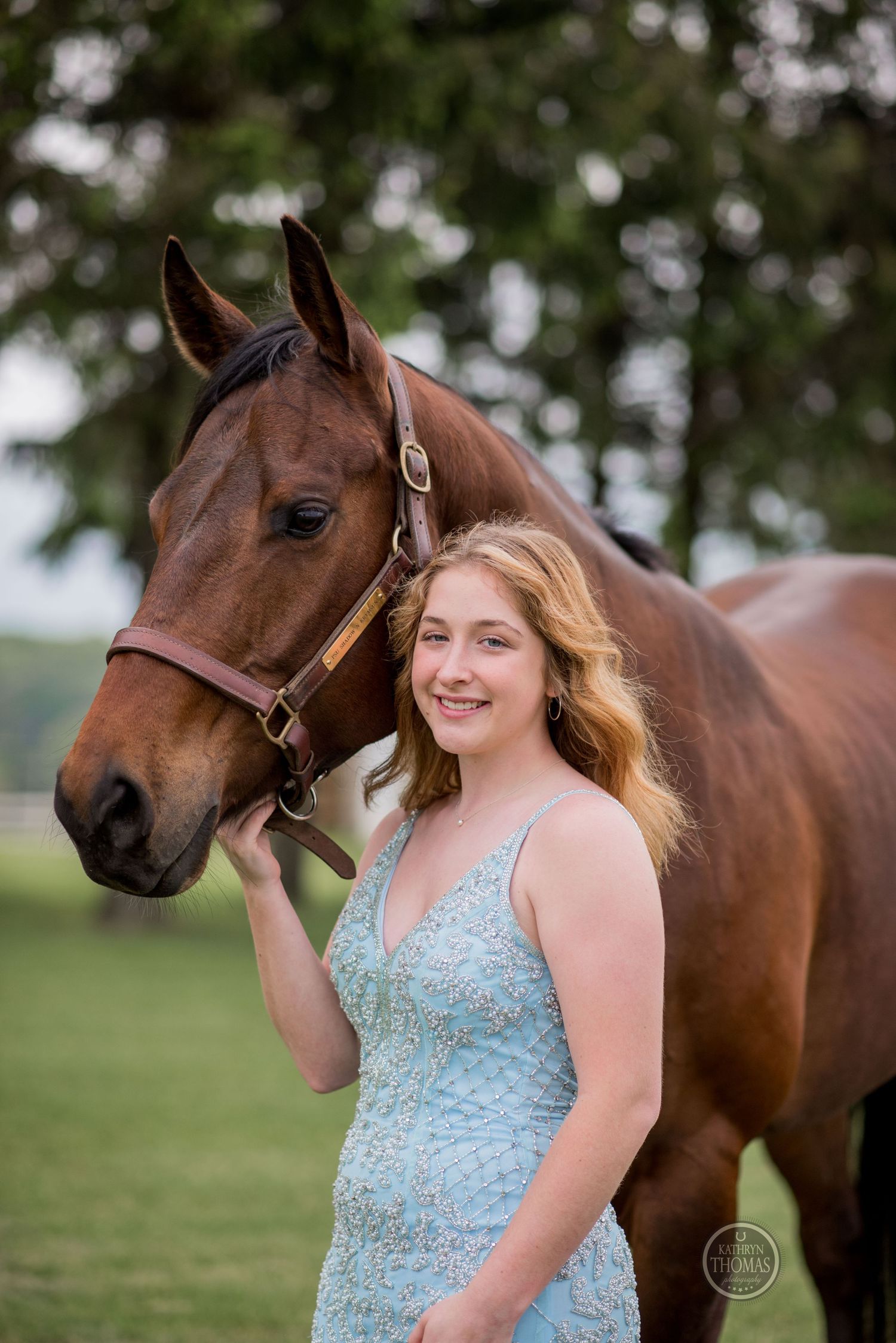 A close-up shot of a bay horse and someone in a sparkling blue dress sharing a moment outdoors.