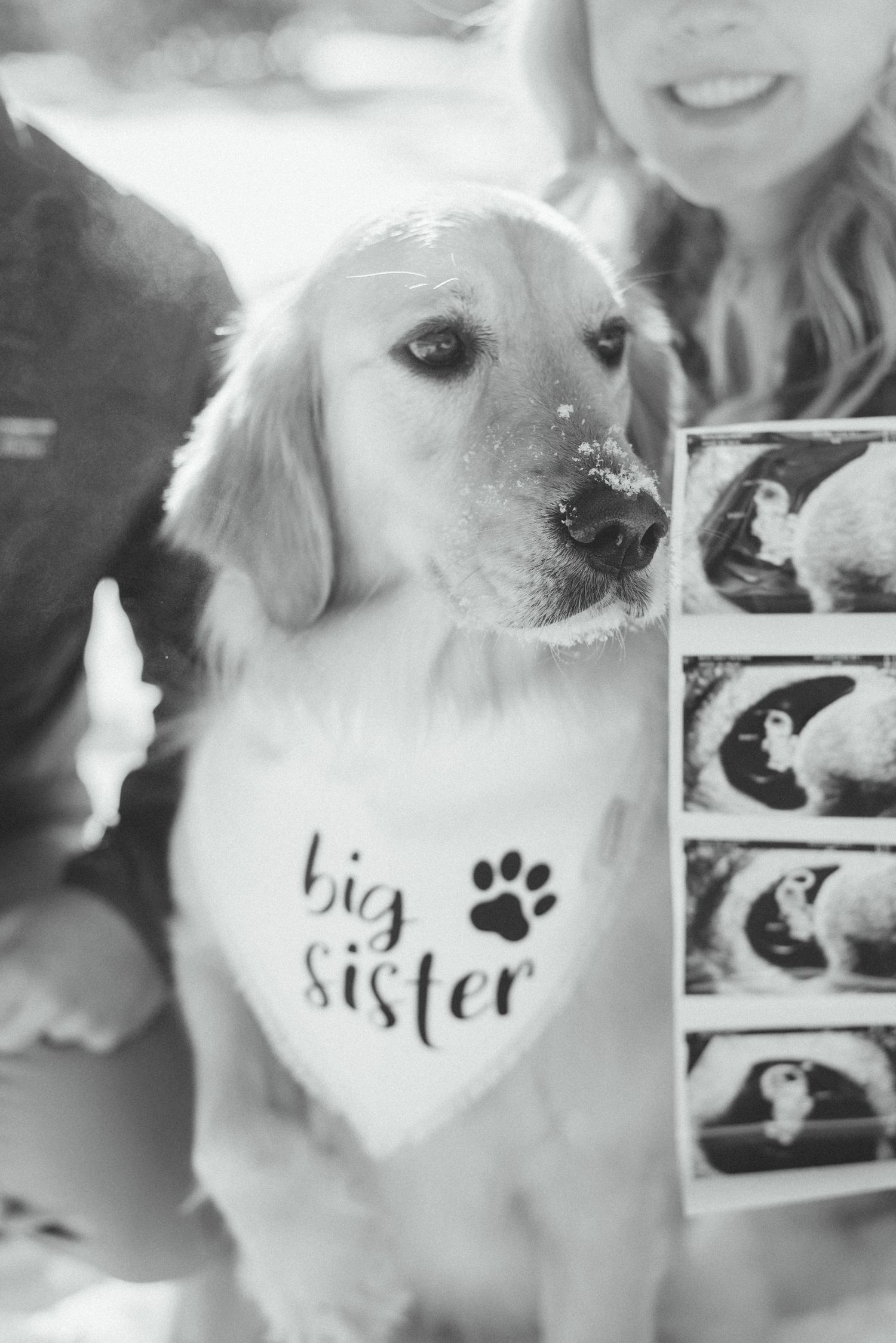 Maternity