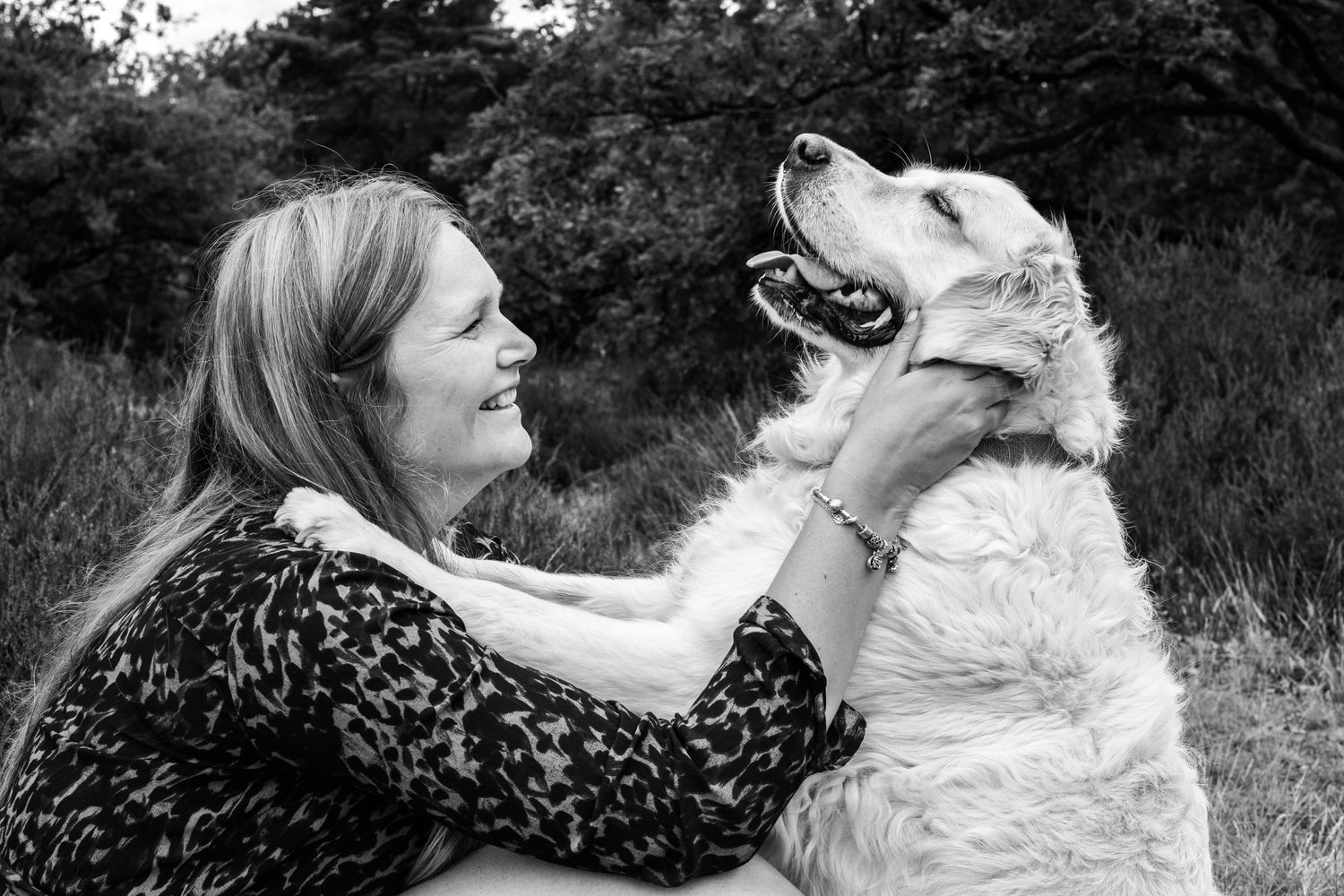 LAATSTE FOTOSHOOT HOND IN DE KEMPEN