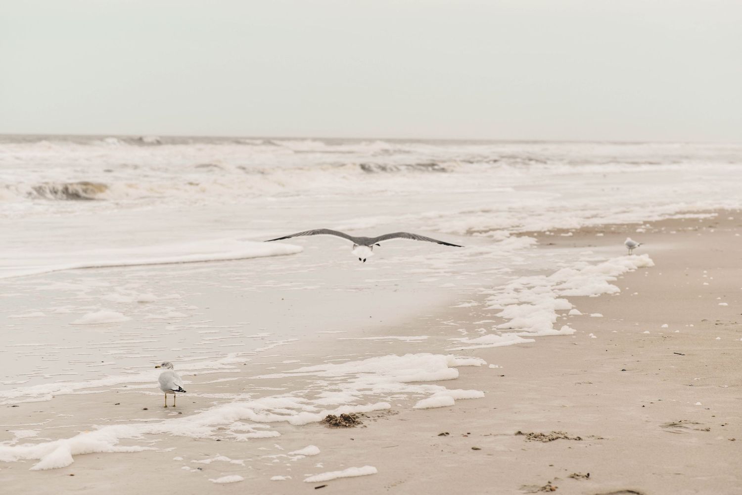 Fernandina beach photographer