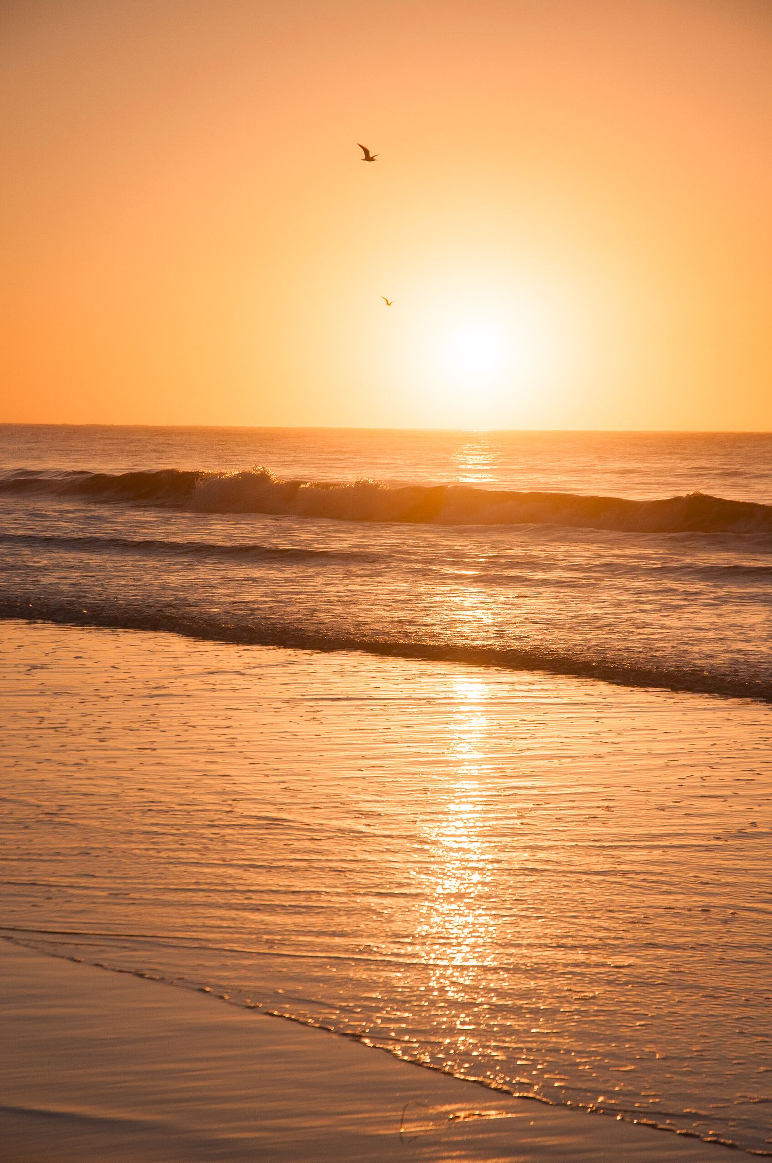 Sunrise