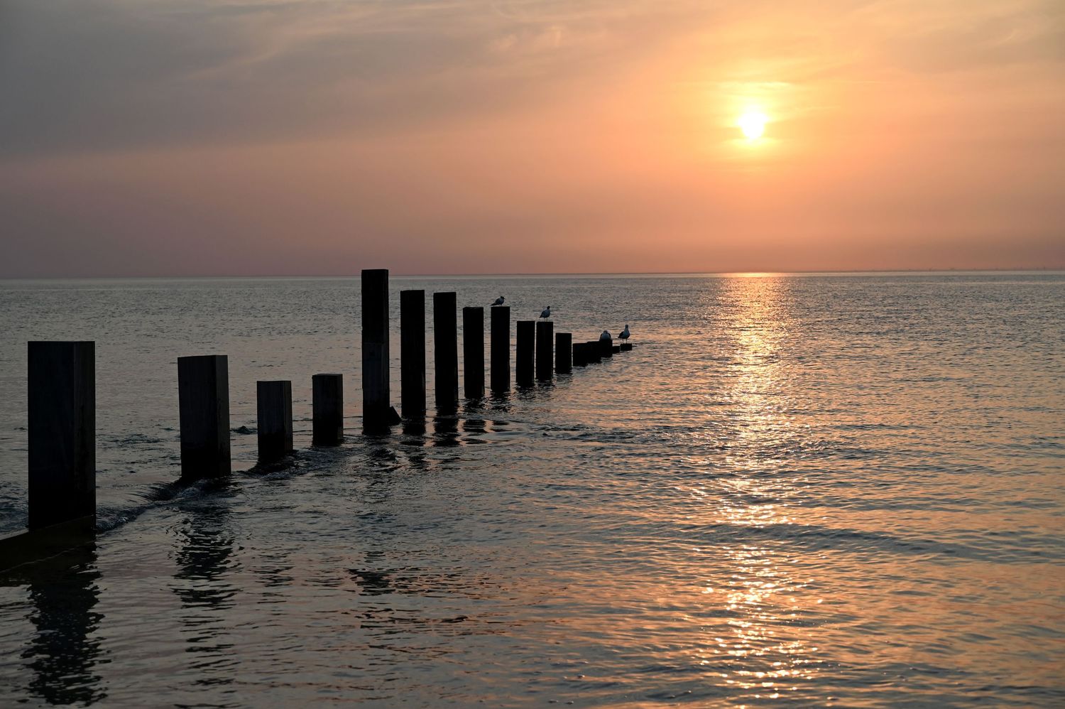Photographie pro ouest france reportage terrain photos
