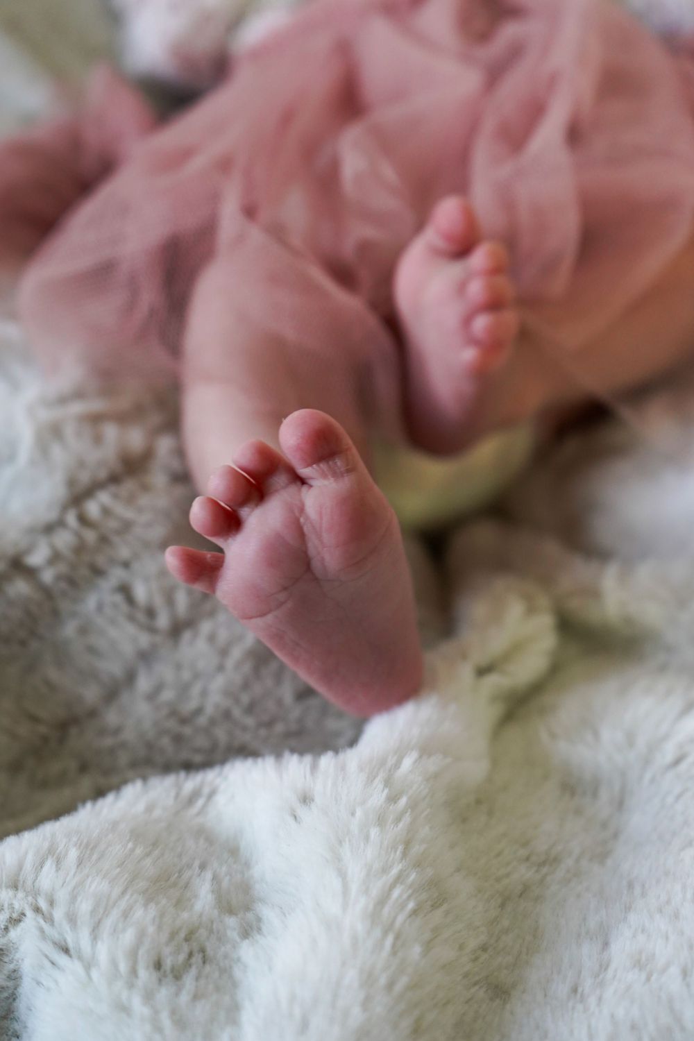 Newborn Photography North East