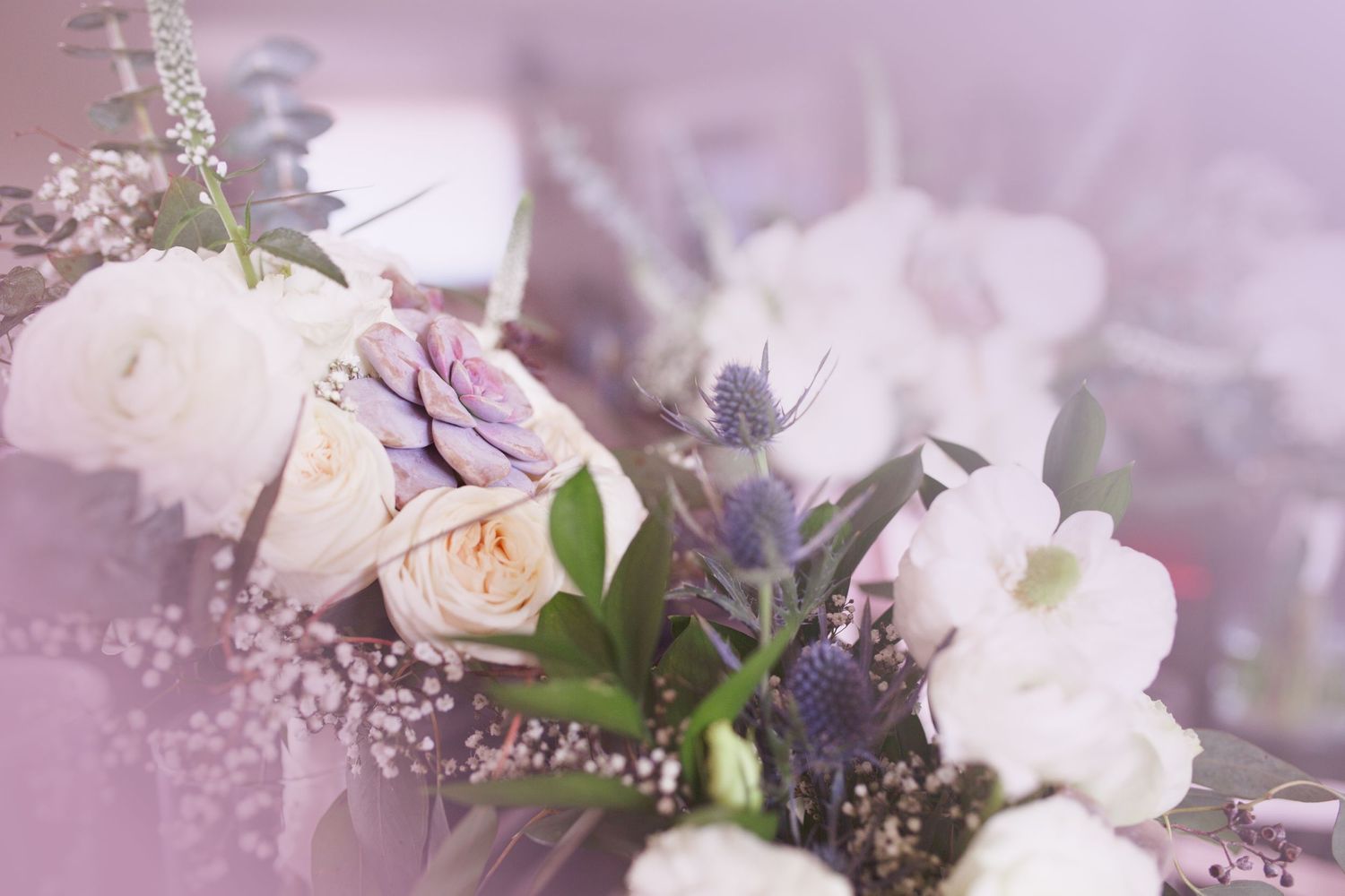 Delicate floral arrangement with white and pink blooms against a soft purple background.