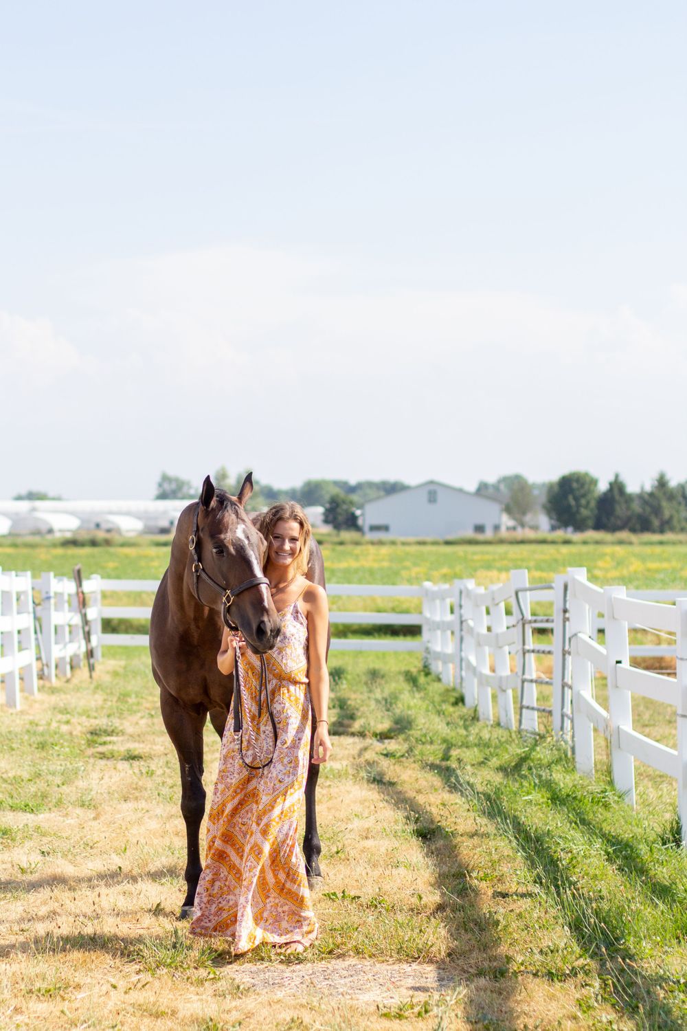Winter Performance Horses