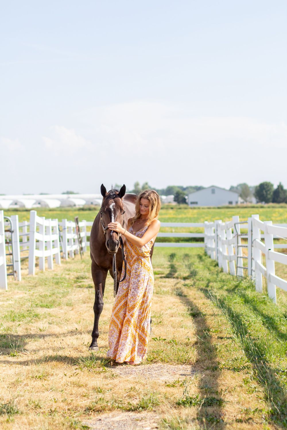 Winter Performance Horses