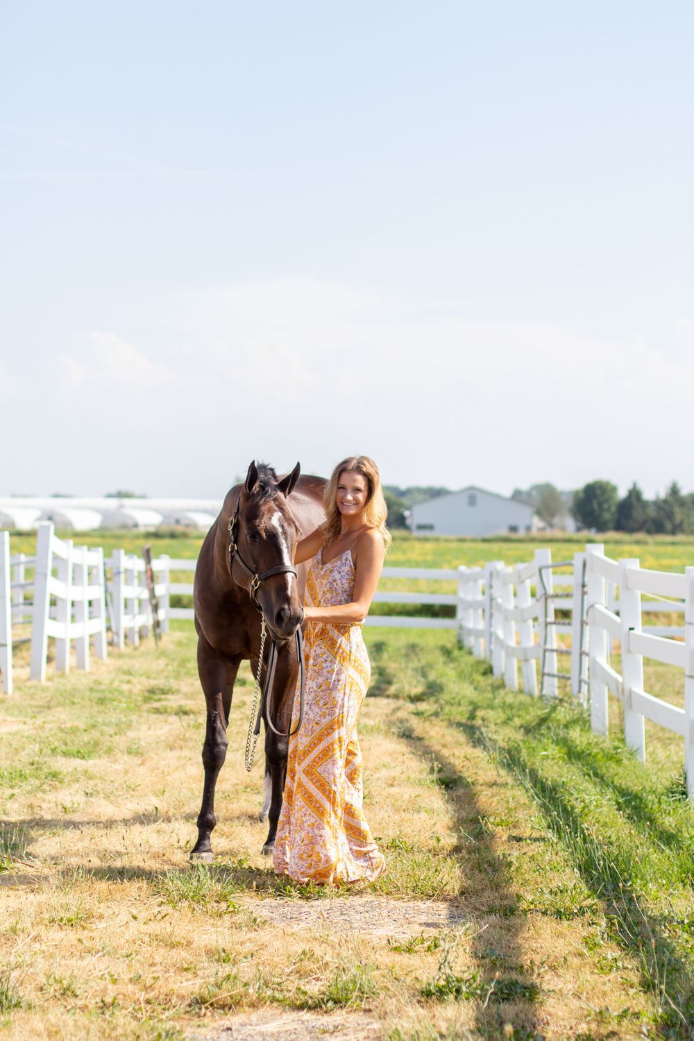 Winter Performance Horses