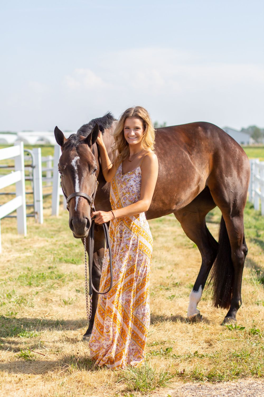 Winter Performance Horses