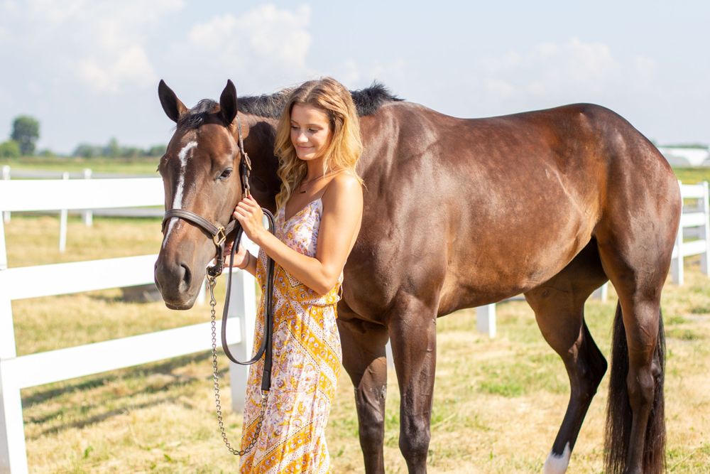 Winter Performance Horses