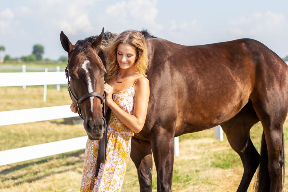 Winter Performance Horses