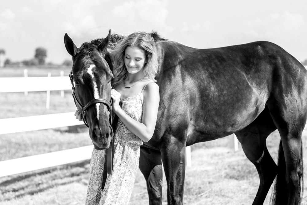 Winter Performance Horses