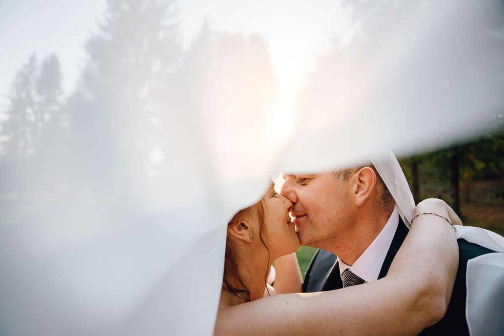 Romantic wedding couple sharing intimate moment under white veil with sunlit forest background.