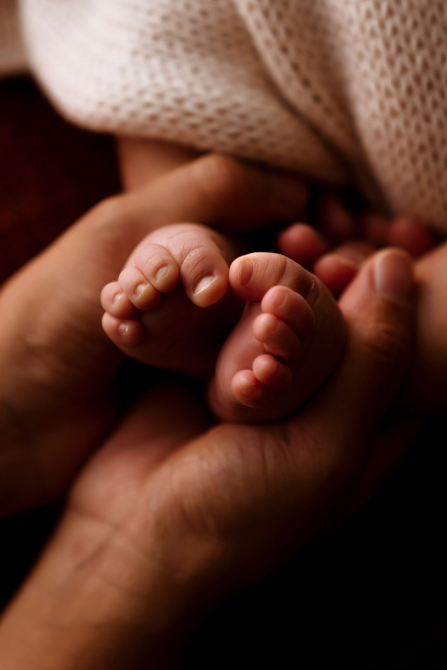 newborn photography sydney