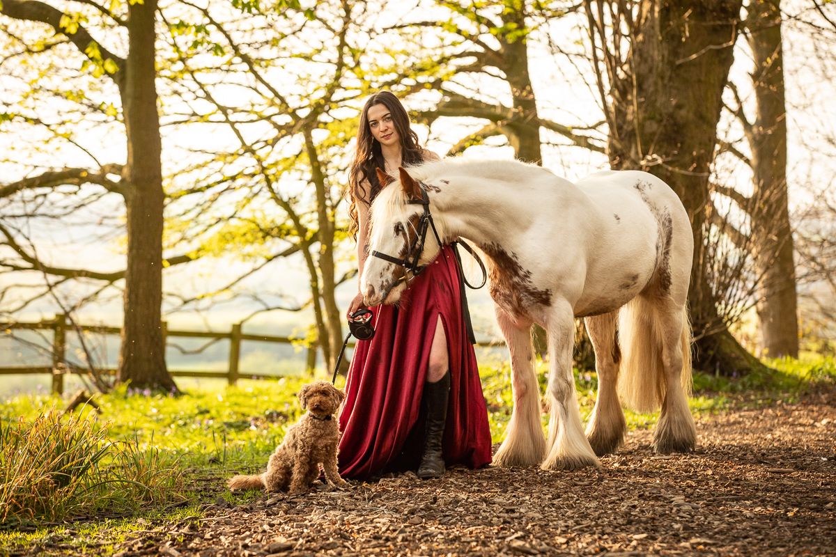 A majestic white horse and small dog pose together in a sun-dappled forest clearing.