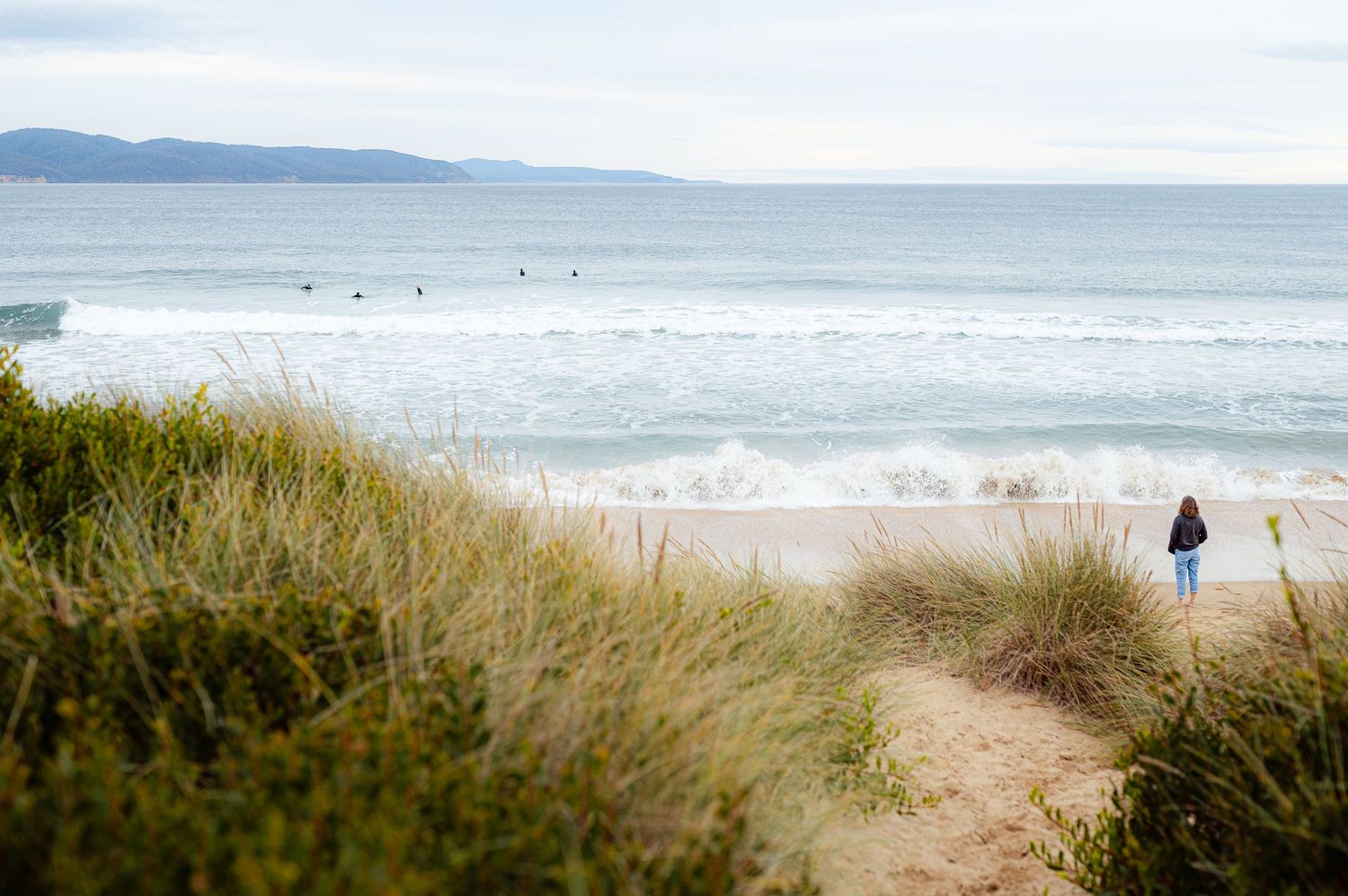 A distant figure stands on a beach path through coastal grass dunes overlooking the ocean.