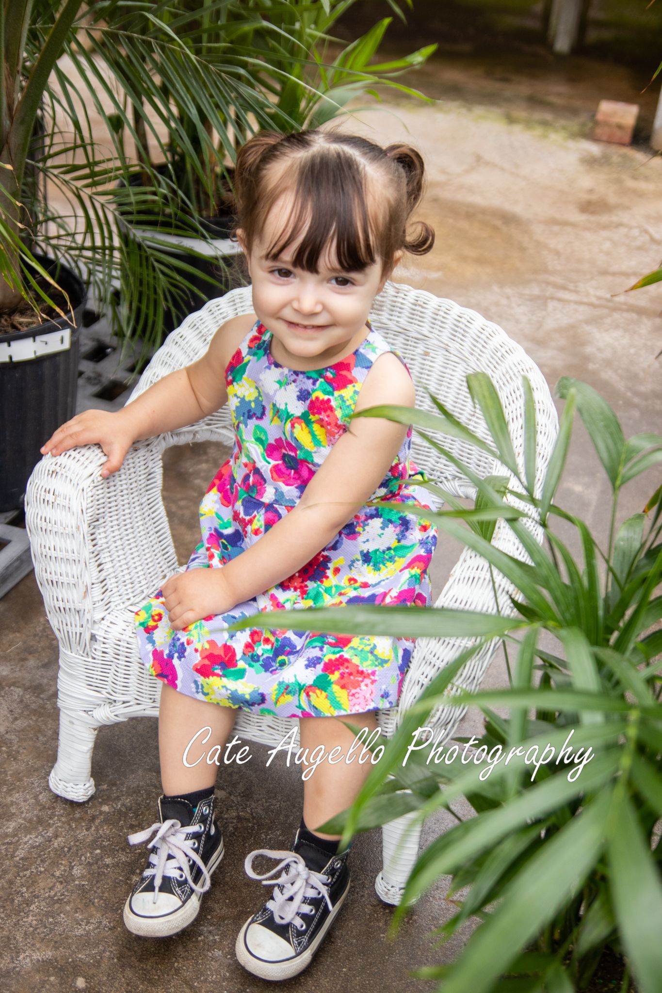 Milestone lifestyle toddler portrait Manchester, Connecticut in greenhouse