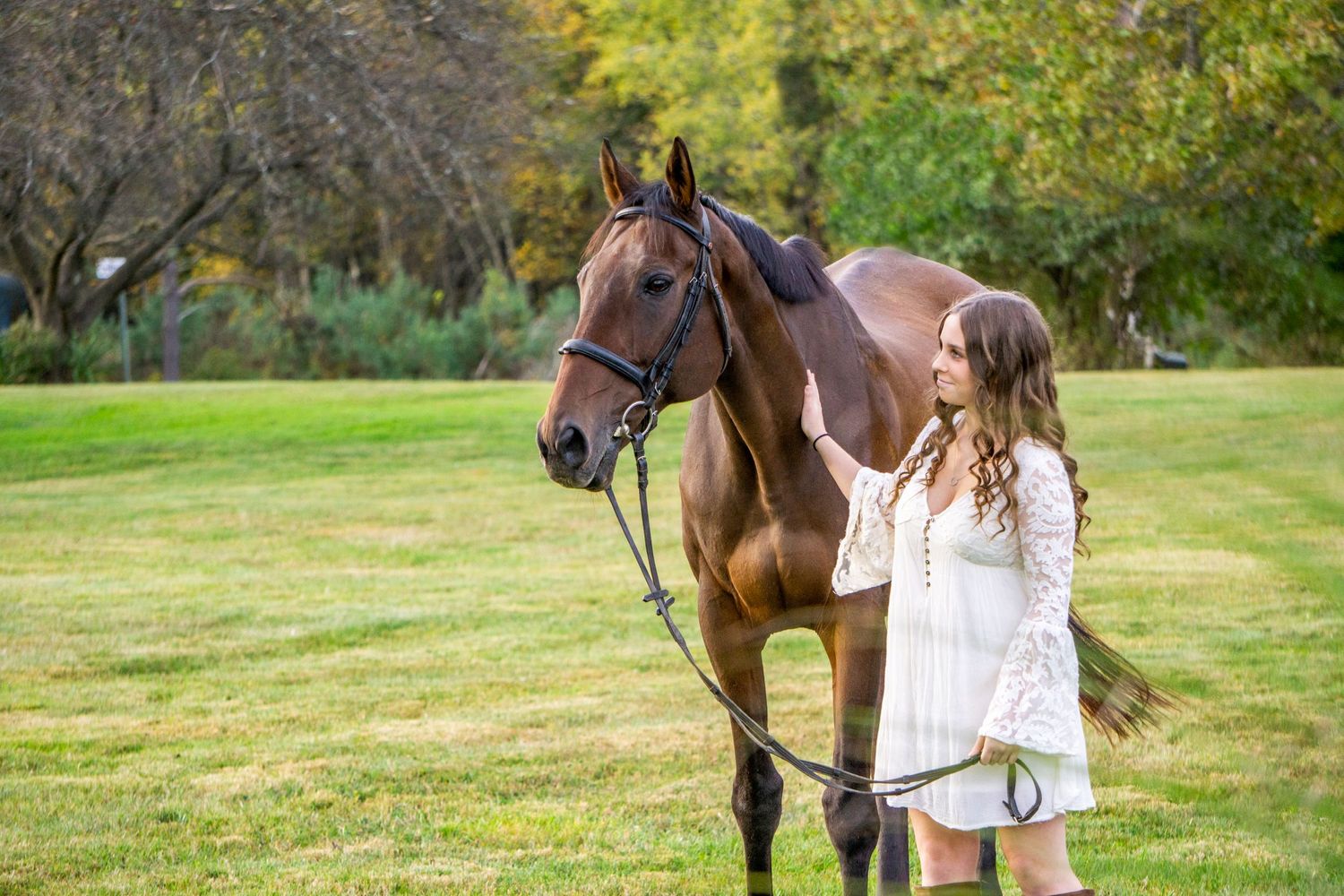 Equine photographer, Lehigh valley, black backgrounds, mo equine photography, horse and rider sessions, pet photography
