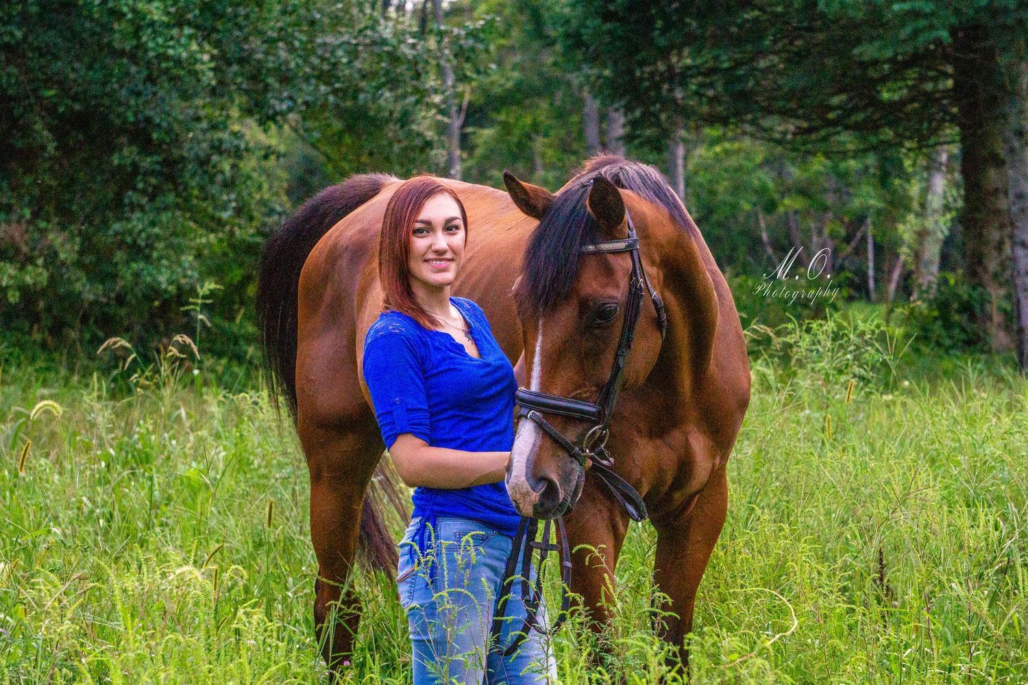 Equine photographer, Lehigh valley, black backgrounds, mo equine photography, horse and rider sessions, pet photography