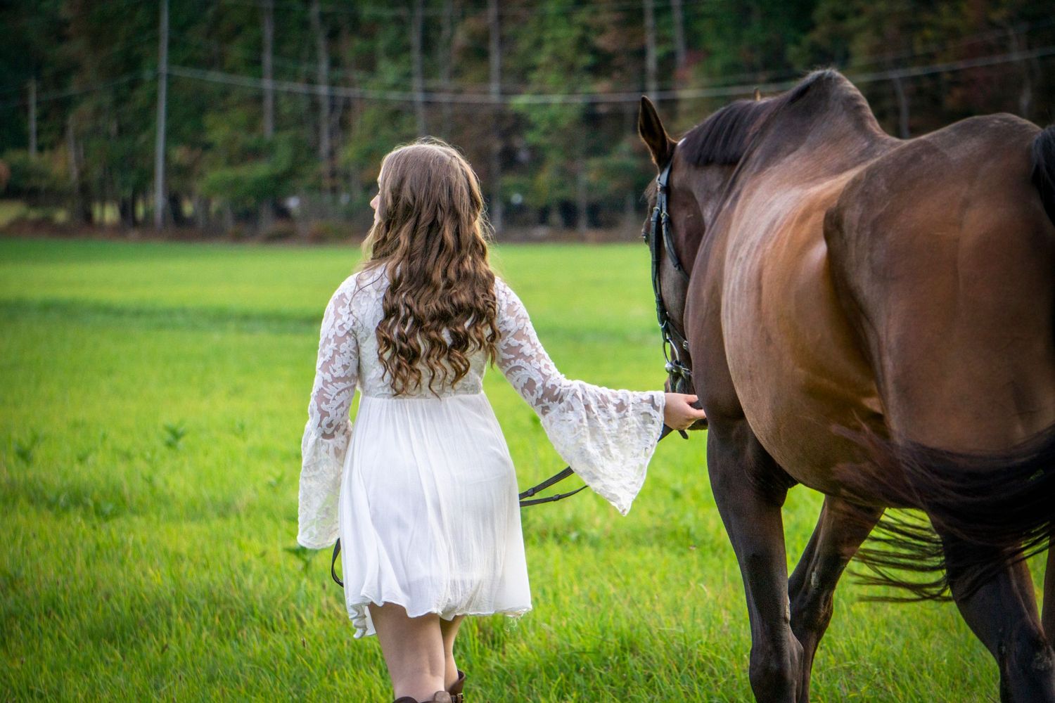 Equine photographer, Lehigh valley, black backgrounds, mo equine photography, horse and rider sessions, pet photography