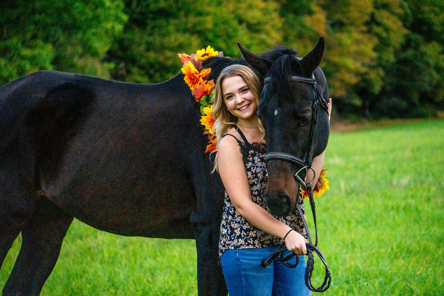 Equine photographer, Lehigh valley, black backgrounds, mo equine photography, horse and rider sessions, pet photography