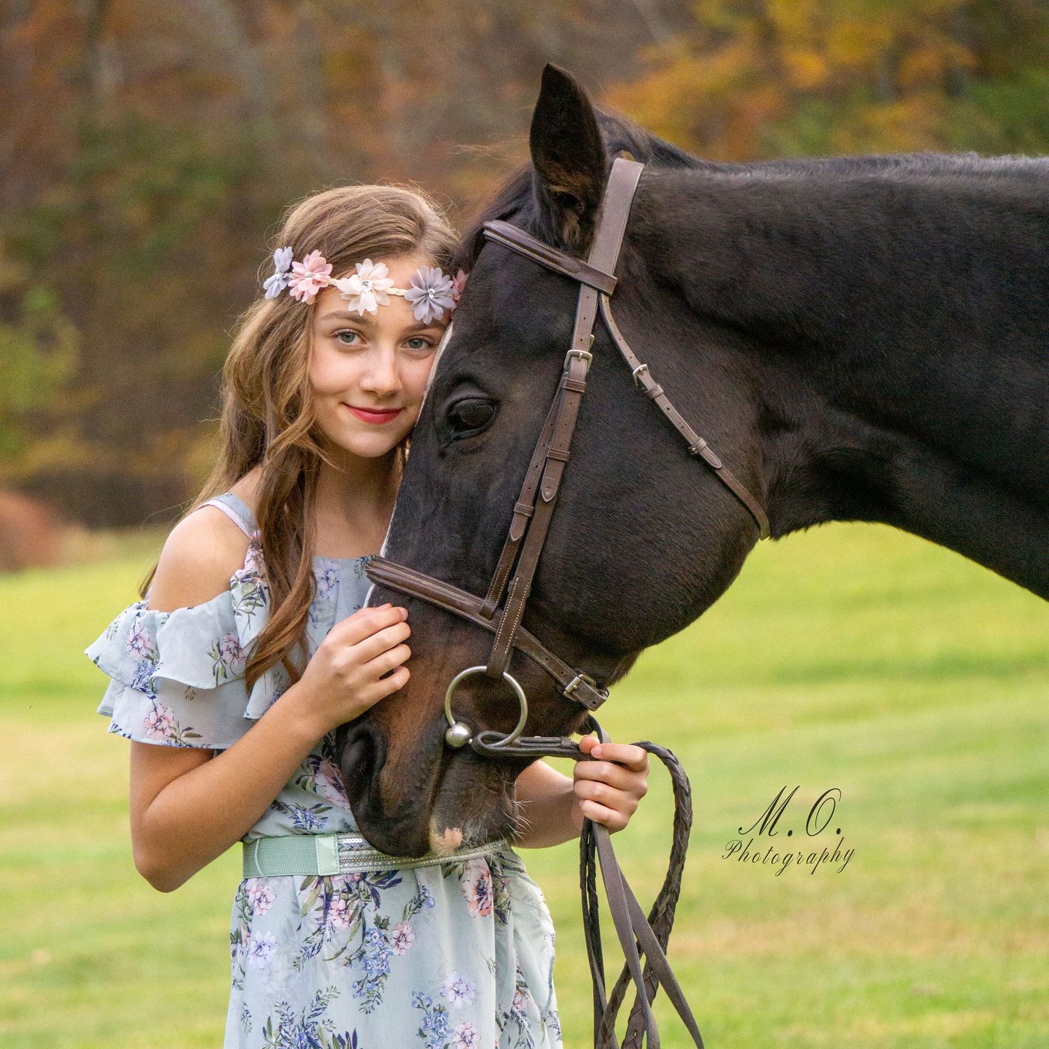 Equine photographer, Lehigh valley, black backgrounds, mo equine photography, horse and rider sessions, pet photography