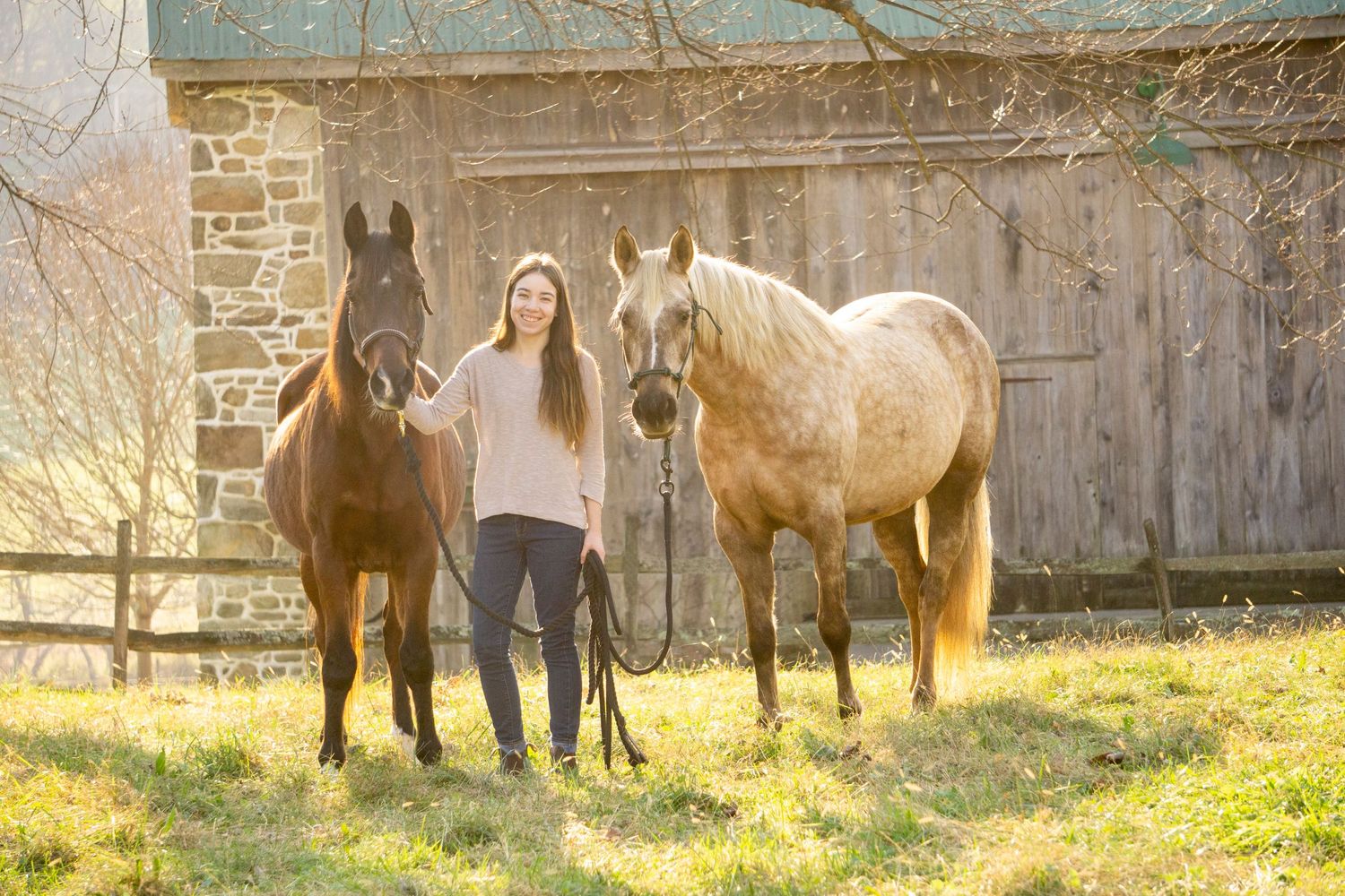 Equine photographer, Lehigh valley, black backgrounds, mo equine photography, horse and rider sessions, pet photography