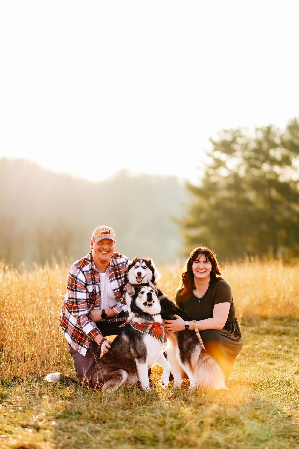 Couple kneeling with two Husky dogs in a golden field during sunset.