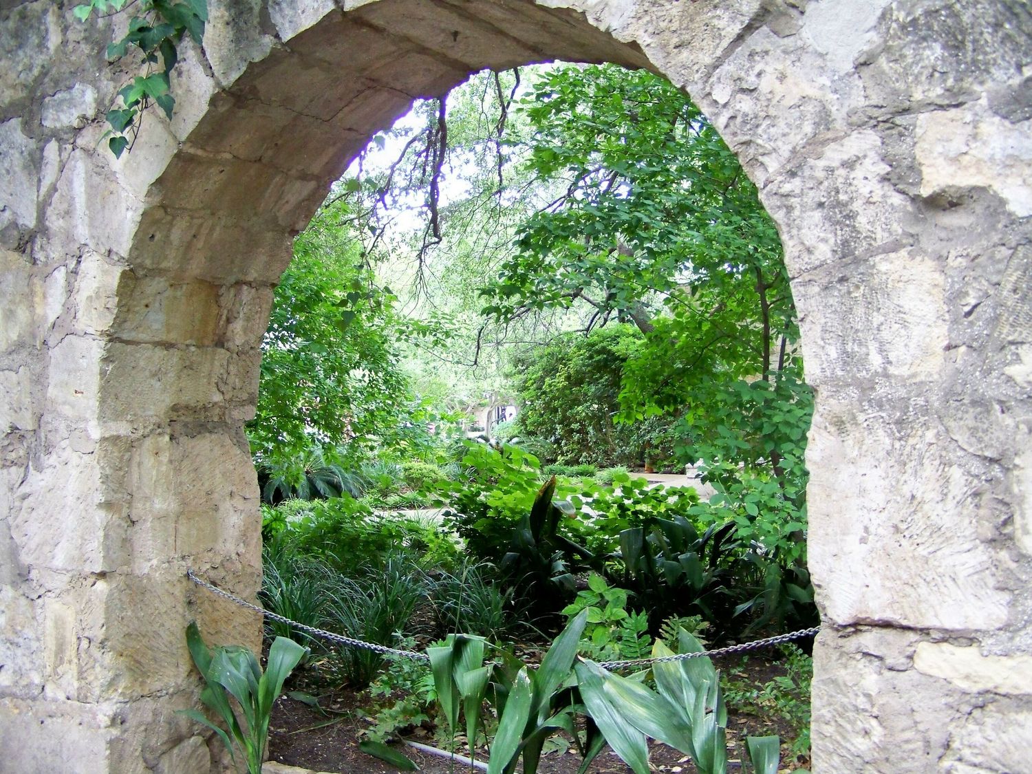 Remember The Alamo