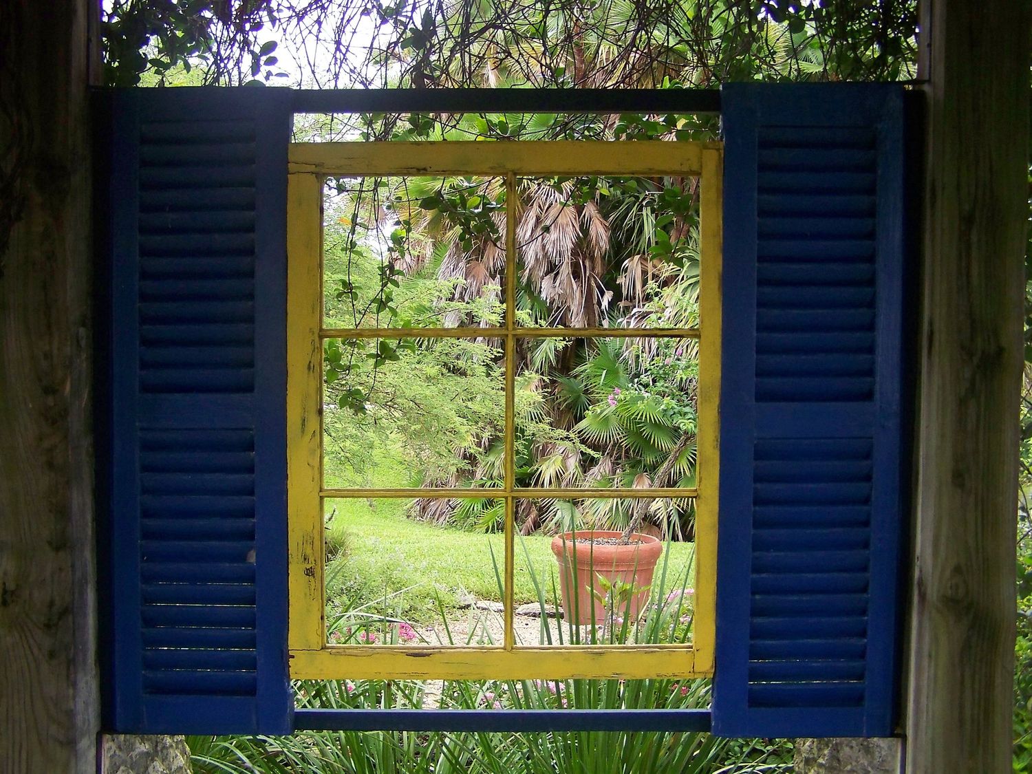 Nature's Window