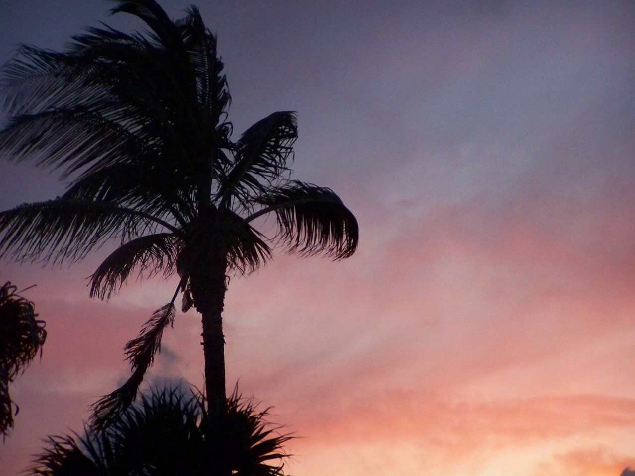 Sultry Summer Sunset