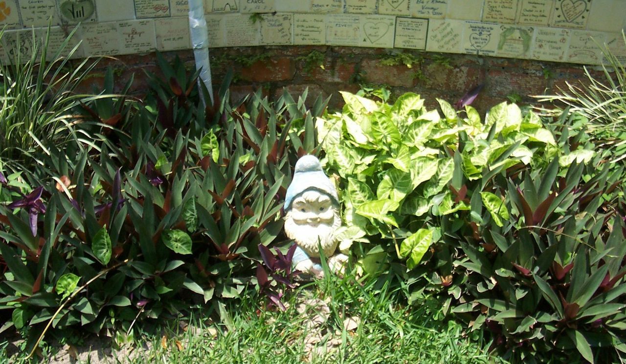 Hiding Gnome