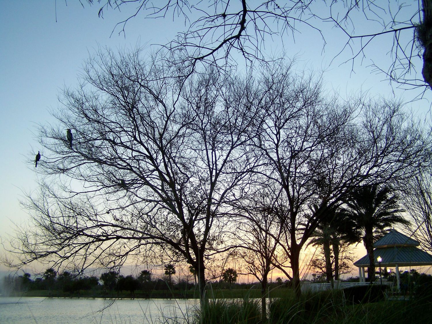 Sundown Silhouette
