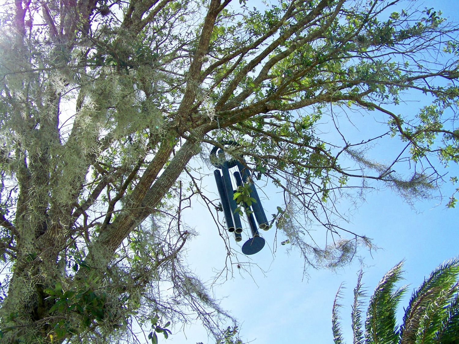 Music On The Wind