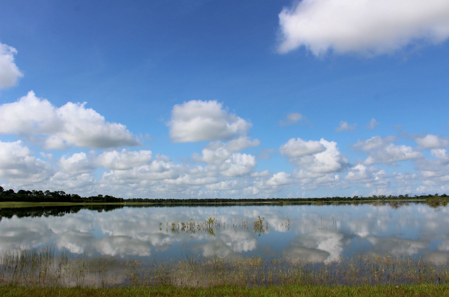Serene Summer Sunday