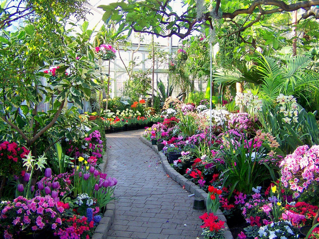 Botanical Conservatory