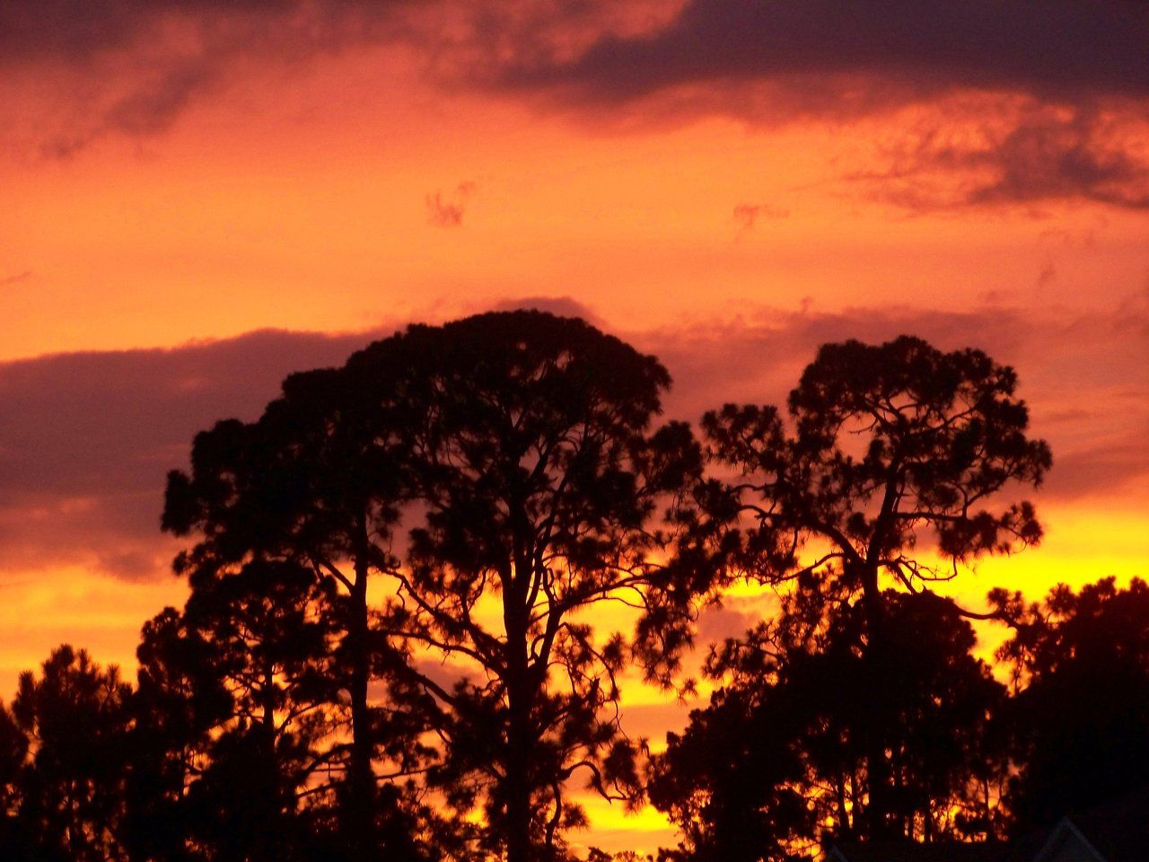 Fiery Summer Sunset
