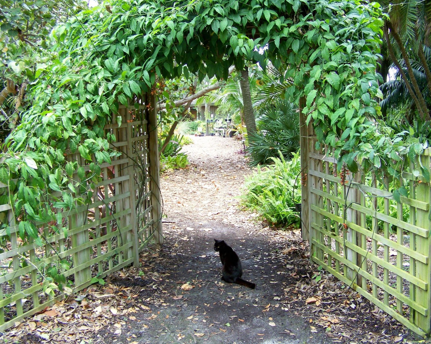 Garden Greeter
